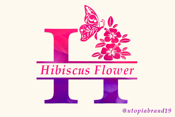Hibiscus Flower Monogram: A Decorative Typeface for Elegant Web Design