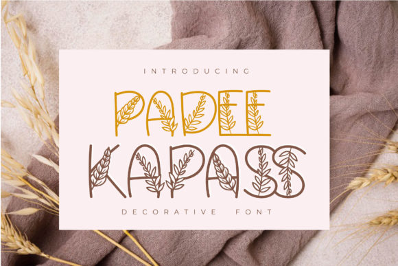 Padee Kapass: A Decorative Typeface for Distinctive Web Design