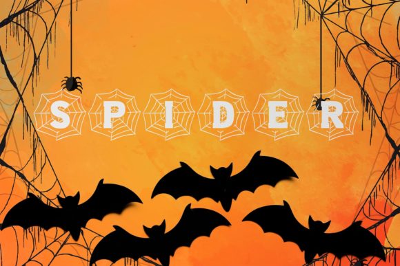 Spider Monogram: A Designer’s Critical Review
