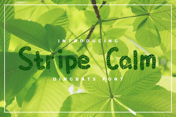 Stripe Calm: A Relaxing Decorative Typeface for Modern Brand Identity