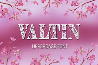 Valtin Typeface: Elevating Campaign Visuals with Distinctive Decorative Typography
